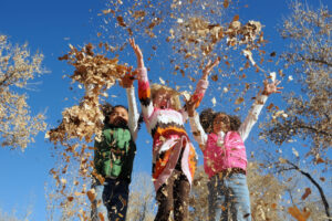 fall_image_800x533